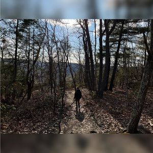 Meet your Posher, Krysta